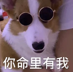 LeCun离职后不止创一份业！押注与大模型不同的路线，加入硅谷初创董事会