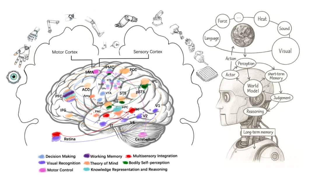 斯坦福具身智能大佬引用,Huggingface官方催更:北京人形开源WoW具身世界模型