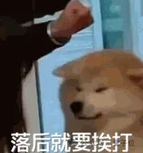 百度AI芯片公司冲刺IPO:出货量国产第二