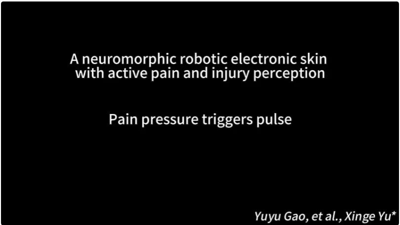 机器人也怕疼！港城突破性电子皮肤：主动痛觉 + 损伤自检双buff拉满
