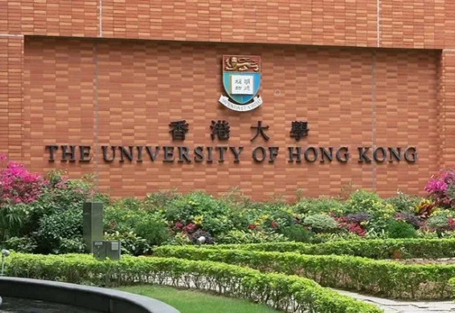 港大一副院长“下课”！涉AI论文造假案，因24条假文献被追责