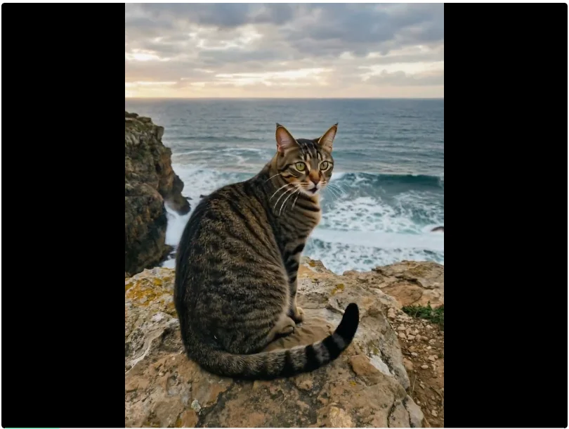 别再乱开SVIP，一站式搞定所有AI不香吗