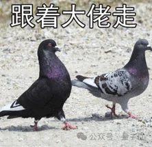 马斯克xAI又融了200亿美元！老黄说到做到投了更多