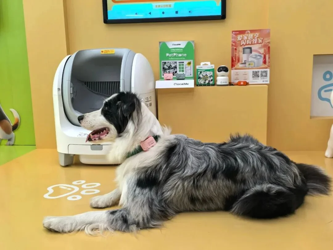 会飞的宠物、能通话的狗绳？直击CES 2026上最「不务正业」的AI发明