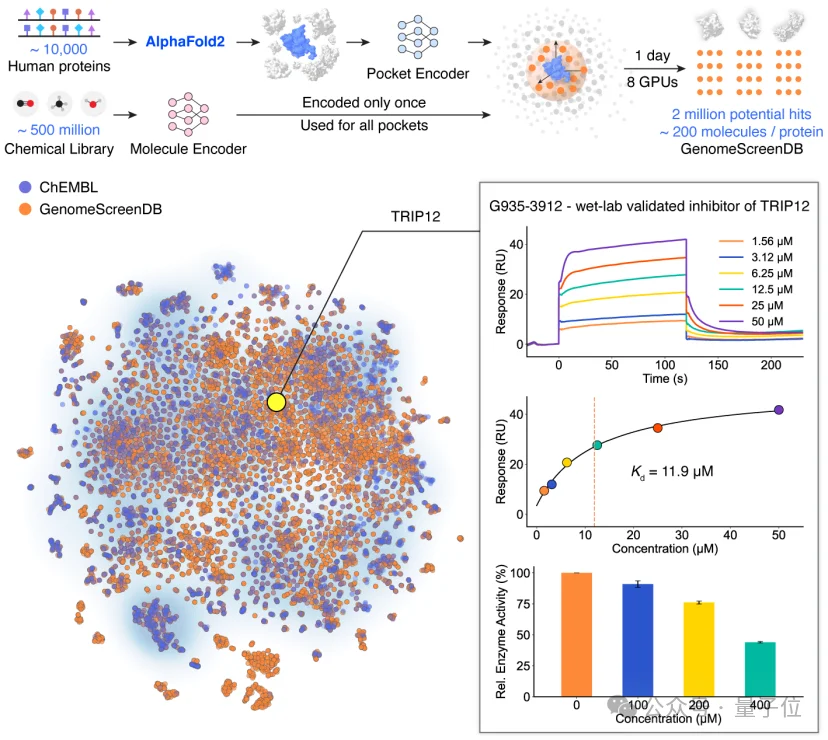 清华AI找药登Science！一天筛选10万亿次，解决AlphaFold到药物发现的最后一公里