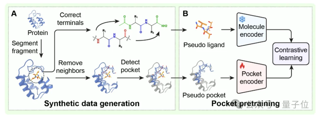 清华AI找药登Science！一天筛选10万亿次，解决AlphaFold到药物发现的最后一公里