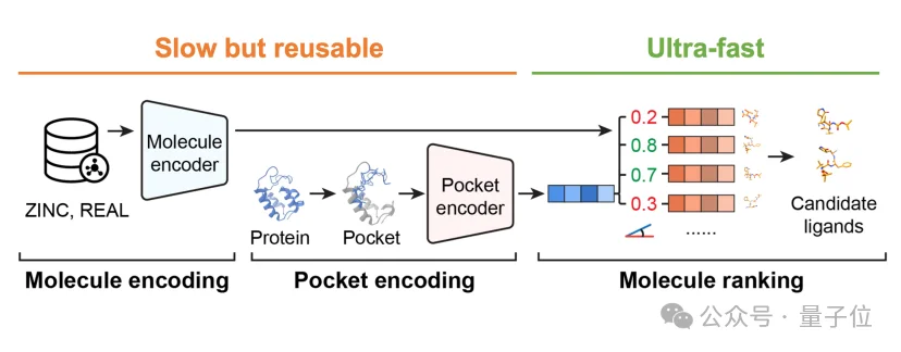清华AI找药登Science！一天筛选10万亿次，解决AlphaFold到药物发现的最后一公里