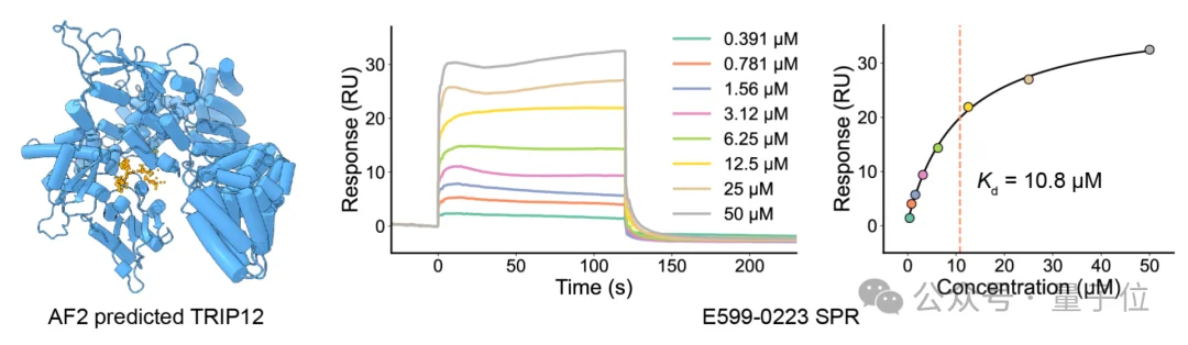 清华AI找药登Science！一天筛选10万亿次，解决AlphaFold到药物发现的最后一公里