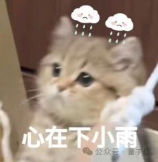 训具身模型遇到的很多问题，在数据采集时就已经注定了丨鹿明联席CTO丁琰分享