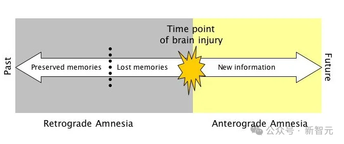 Transformer已死？DeepMind正在押注另一条AGI路线
