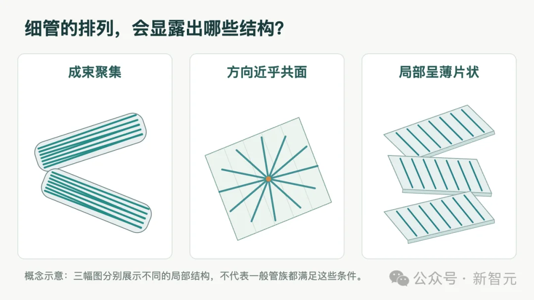 王虹攻下的三维挂谷猜想，OpenAI放出175页四维证明稿！