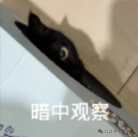 AI从「造图」卷到「造世界」,这次真有点科幻了。。。