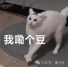 Transformer作者团队,下场RSI
