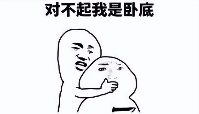 AI朝阳群众出动!陪骗子唠嗑,还套出25万条情报