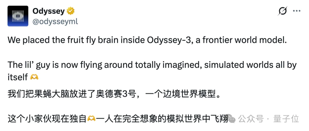 Jeff Dean投的模拟果蝇+世界模型，估值破百亿