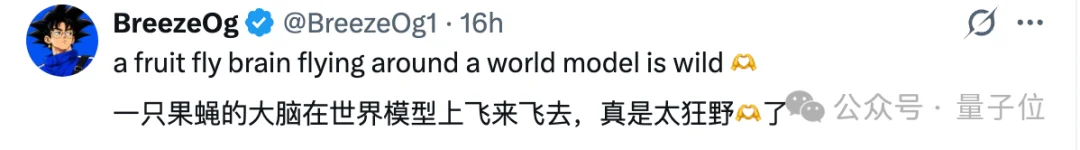 Jeff Dean投的模拟果蝇+世界模型，估值破百亿