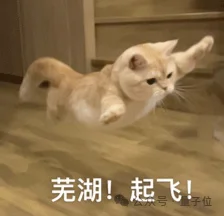 Jeff Dean投的模拟果蝇+世界模型，估值破百亿