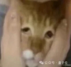 Jeff Dean投的模拟果蝇+世界模型，估值破百亿