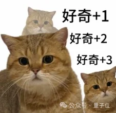 整天唱跳武术的宇树机器人，终于上岗保镖了