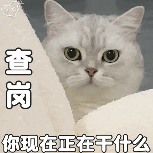 同时管好多个Agent，我总结了3个办法