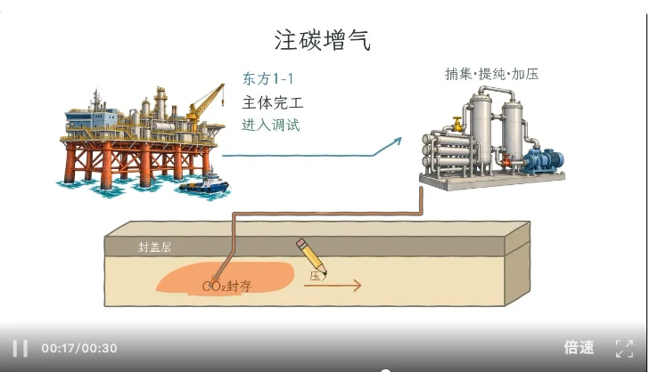 我把手绘视频自动化了，输入内容就能边讲边画