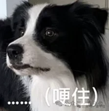 清华具身模型登顶全球第一！突围GPT-6、英伟达，不靠外挂和额外数据