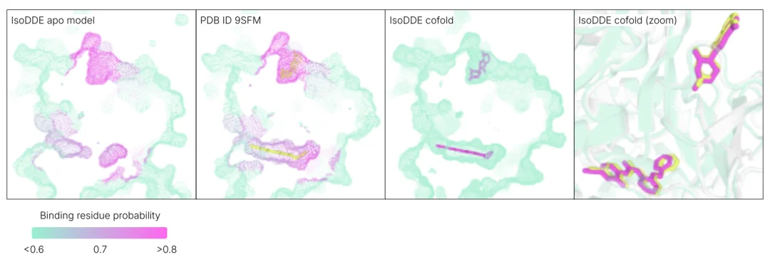 刚刚，最强AI制药模型问世，谷歌诺奖天团力作，碾压AlphaFold3，生物医药一夜变天！