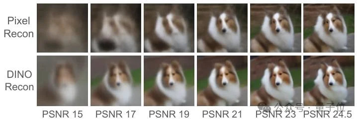 李飞飞团队新作:简单调整生成顺序,大幅提升像素级图像生成质量