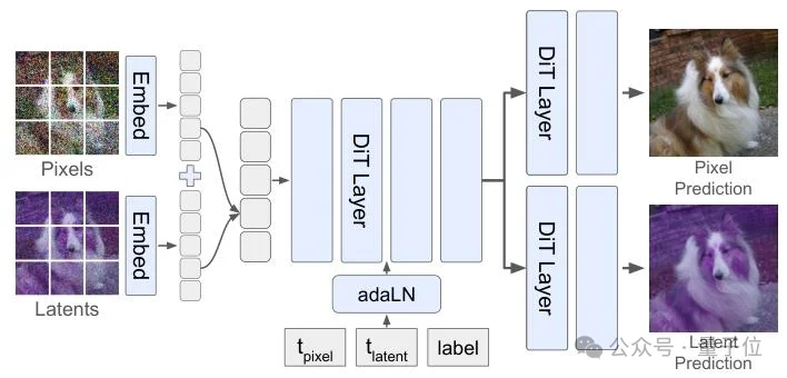 李飞飞团队新作:简单调整生成顺序,大幅提升像素级图像生成质量