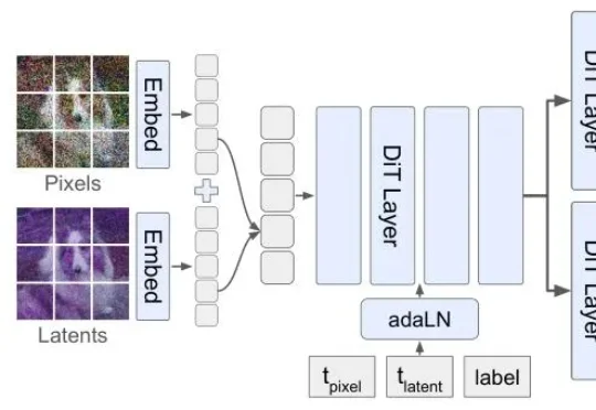 李飞飞团队新作：简单调整生成顺序，大幅提升像素级图像生成质量