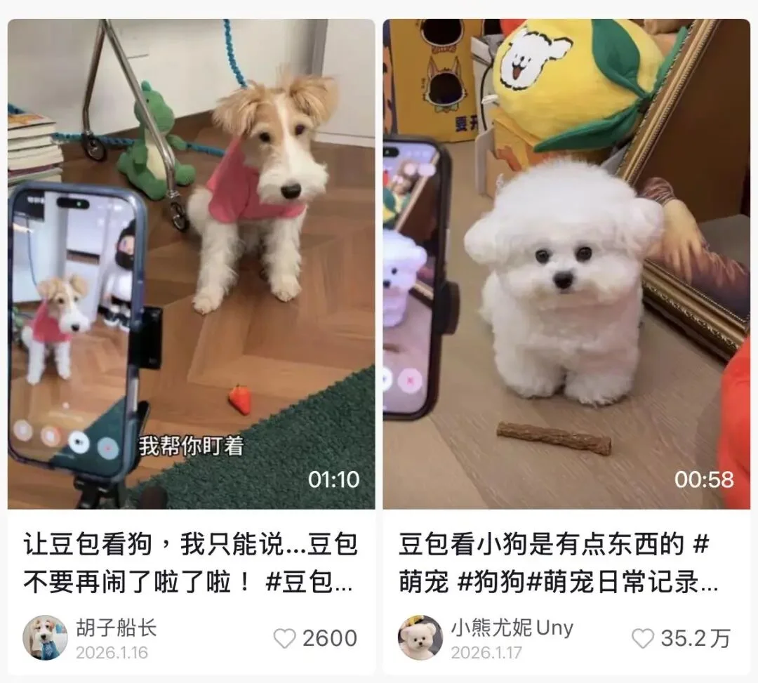 豆包有Seed，火山有种