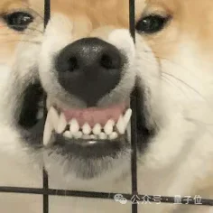 大模型API的大众点评来了:7×24小时实测,毫秒级延迟智能路由,选API必备