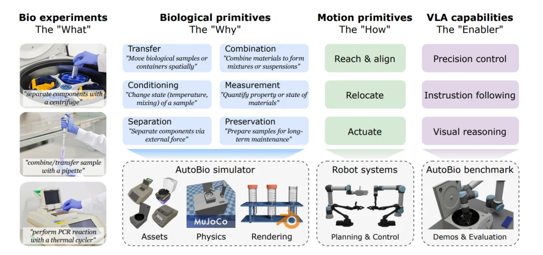 ICLR 2026｜新版「图灵测试」：当VLA走进生物实验室