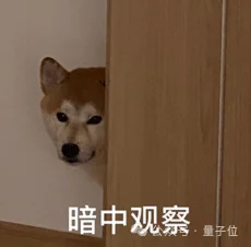 春晚之后，AI和机器人为啥都去了一个地方？