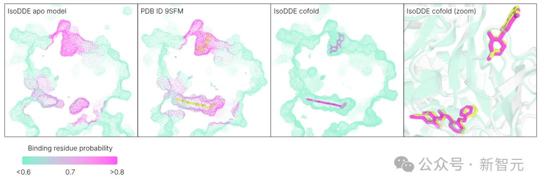 谷歌发布「AlphaFold 4」，不再开源！性能碾压上一代