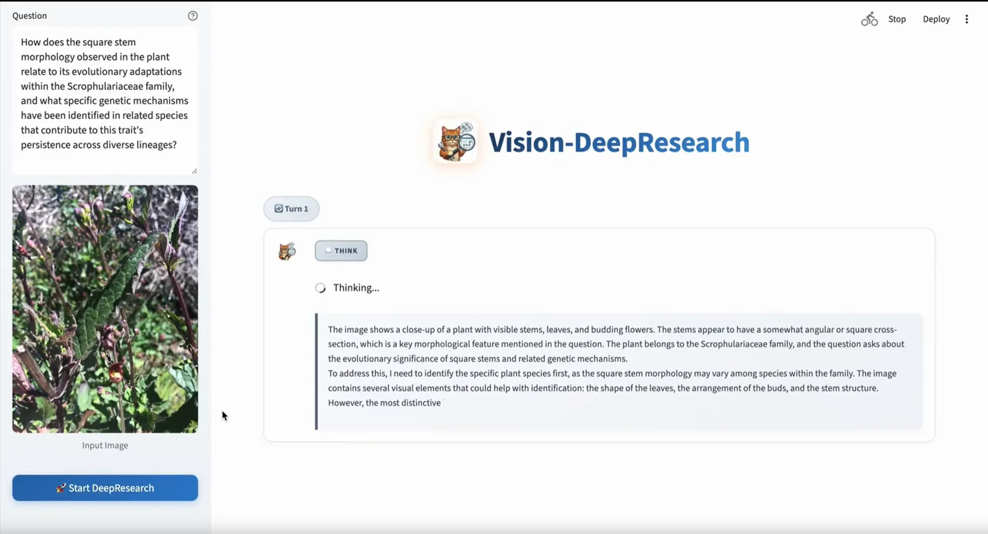 多模态DeepResearch，成了！