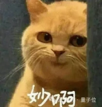 融资34亿！谷歌前TPU员工创业新型芯片，卡帕西也投了