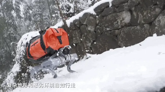 刚刚，宇树发布马年首个重磅机器人新品，小身板扛起200斤大汉