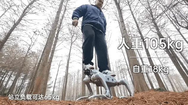 刚刚，宇树发布马年首个重磅机器人新品，小身板扛起200斤大汉