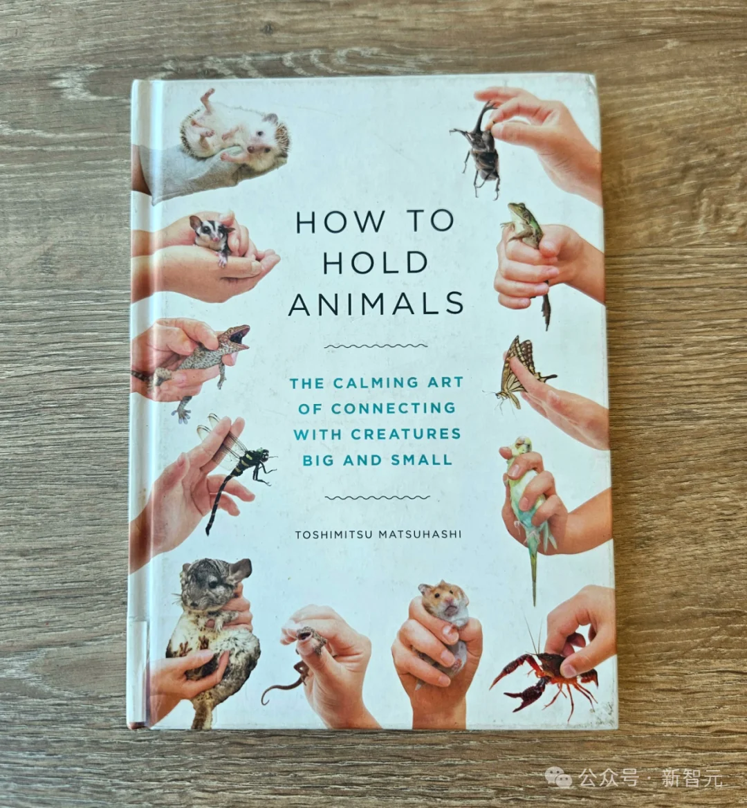 谷歌深夜突发Nano Banana 2，生图圈天塌了！Pro级4K大片，价格砍半