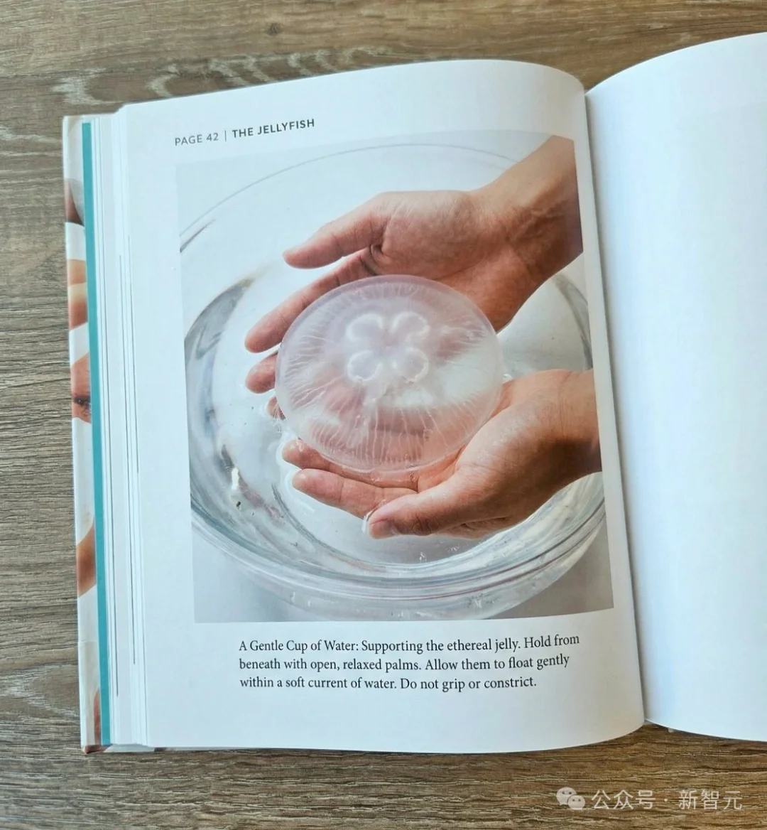 谷歌深夜突发Nano Banana 2，生图圈天塌了！Pro级4K大片，价格砍半