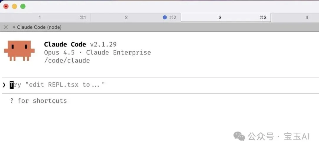 Claude Code 团队的 10 个内部技巧，但你不一定都要学