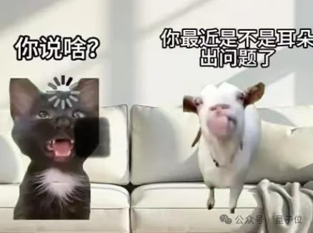 AI能帮忙厨房看火了！面壁智能开源全模态模型MiniCPM-o4.5，边看边听还能主动抢答