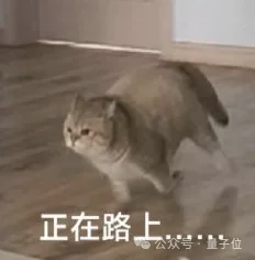 NeurIPS论文假开源，较真AI研究员开锤了