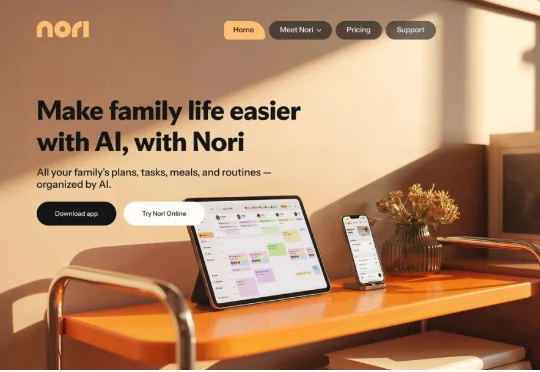 深度｜30天，10万家庭：Nori如何悄悄拿下AI的“最后一块拼图”