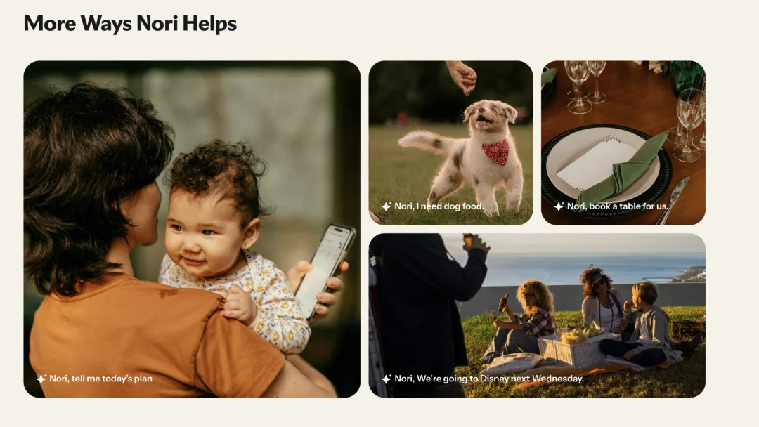 深度｜30天，10万家庭：Nori如何悄悄拿下AI的“最后一块拼图”