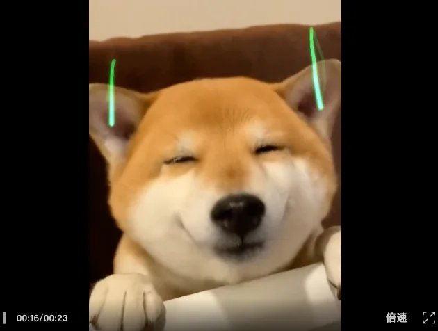 童年的滚球兽「走进」现实？华为天才少年创业，Xmax AI推出全球首个虚实融合的实时交互视频模型 X1