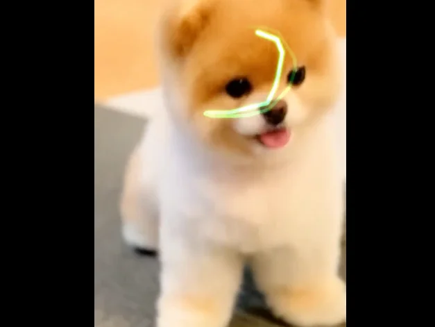 童年的滚球兽「走进」现实？华为天才少年创业，Xmax AI推出全球首个虚实融合的实时交互视频模型 X1