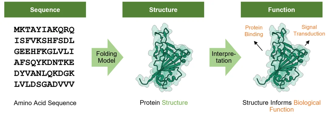生成式科学智能的新标杆：IntelliFold 2新近发布并开源，主要指标实现全面领先