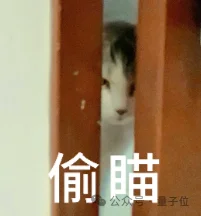 ChatGPT和Claude争了个寂寞！用户重叠仅11%，中国应用霸榜移动端